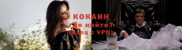 бошки Аркадак