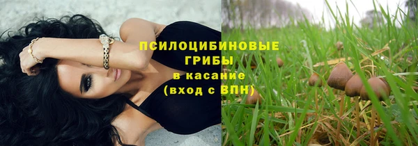 эйфоретик Армянск